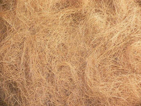 coir fibre